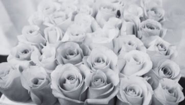 Roses By… Lancôme Canada Exhibit at Luminato!