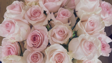 Annual Personal Review -FREE template pdf