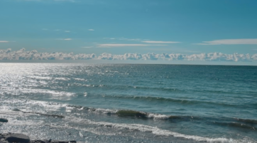 Where to Stay in Prince Edward County for Couples: The Drake Devonshire Motor Inn